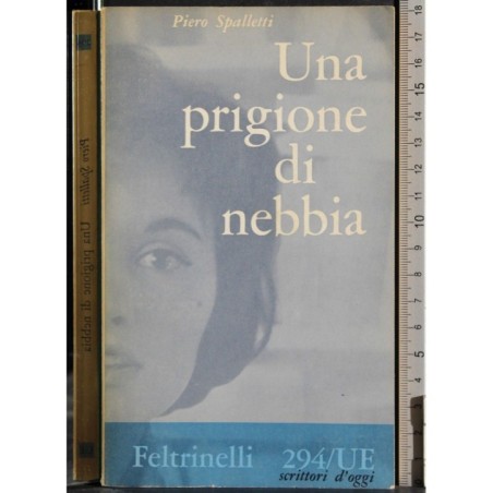 Una prigioniera di nebbia