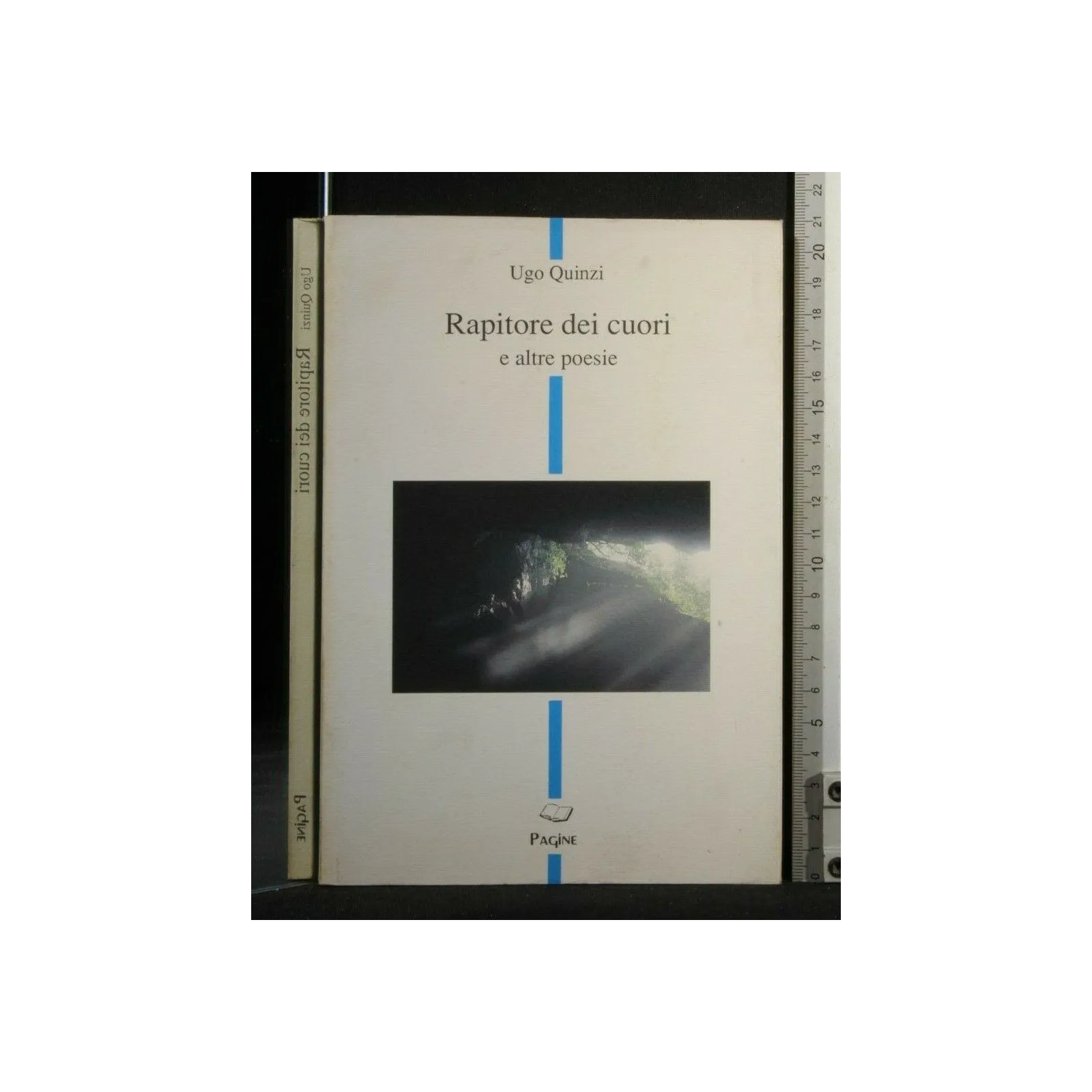 RAPITORTE DEI CUORI E ALTRE POESIE