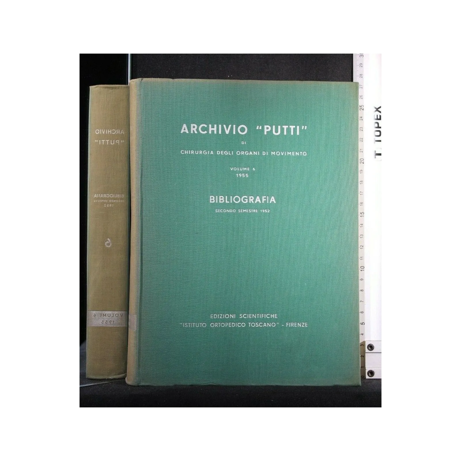 ARCHIVIO PUTTI DI CHIRURGIA DEGLI ORGANI DI MOVIMENTO VOLUME 6