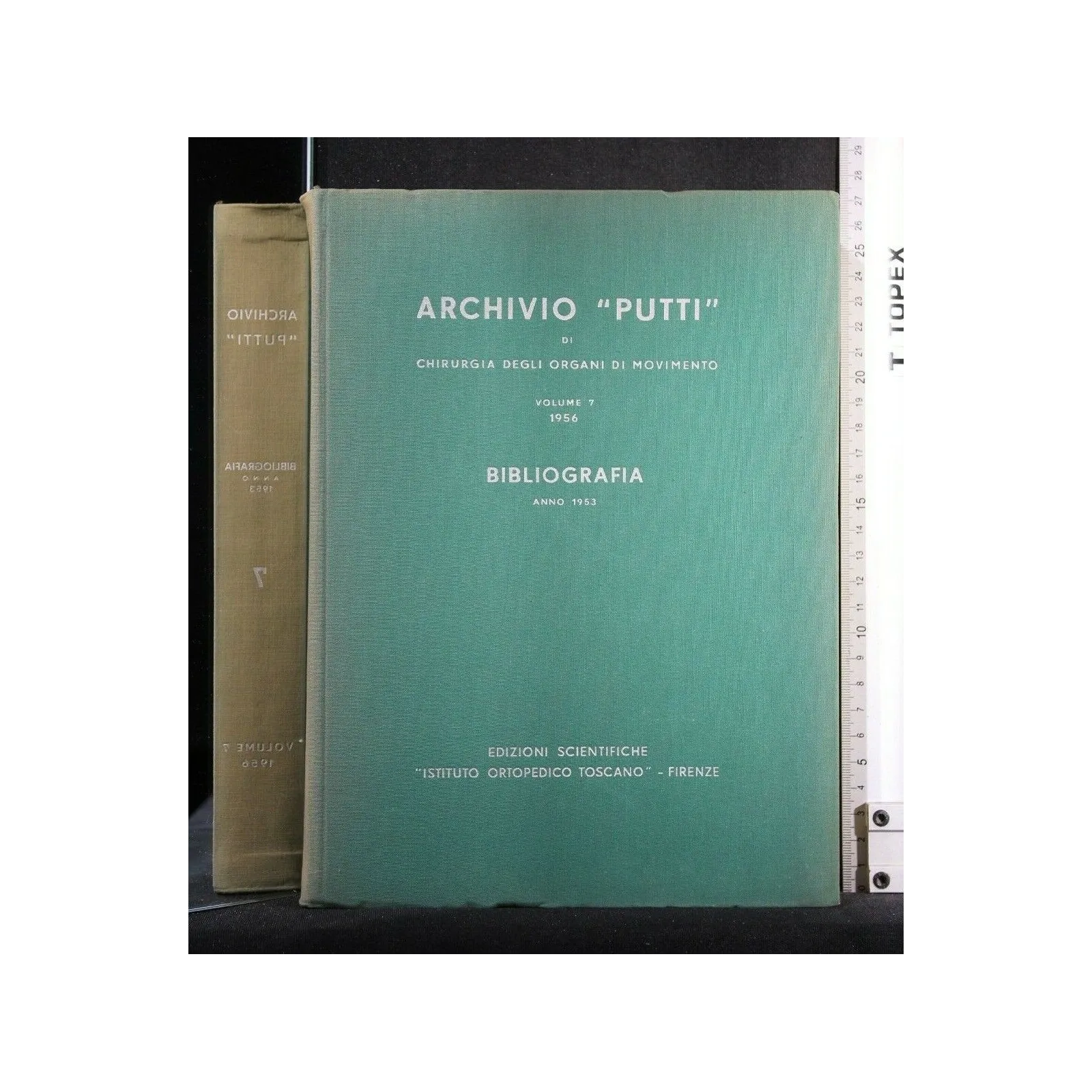 ARCHIVIO PUTTI DI CHIRURGIA DEGLI ORGANI DI MOVIMENTO VOLUME 7