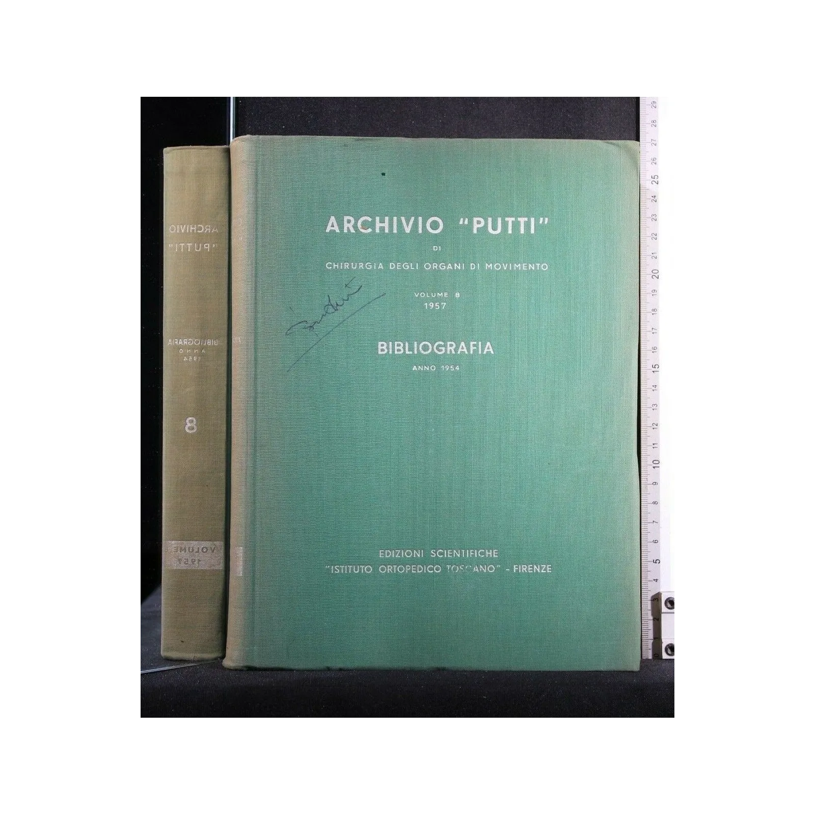 ARCHIVIO PUTTI DI CHIRURGIA DEGLI ORGANI DI MOVIMENTO VOLUME 8