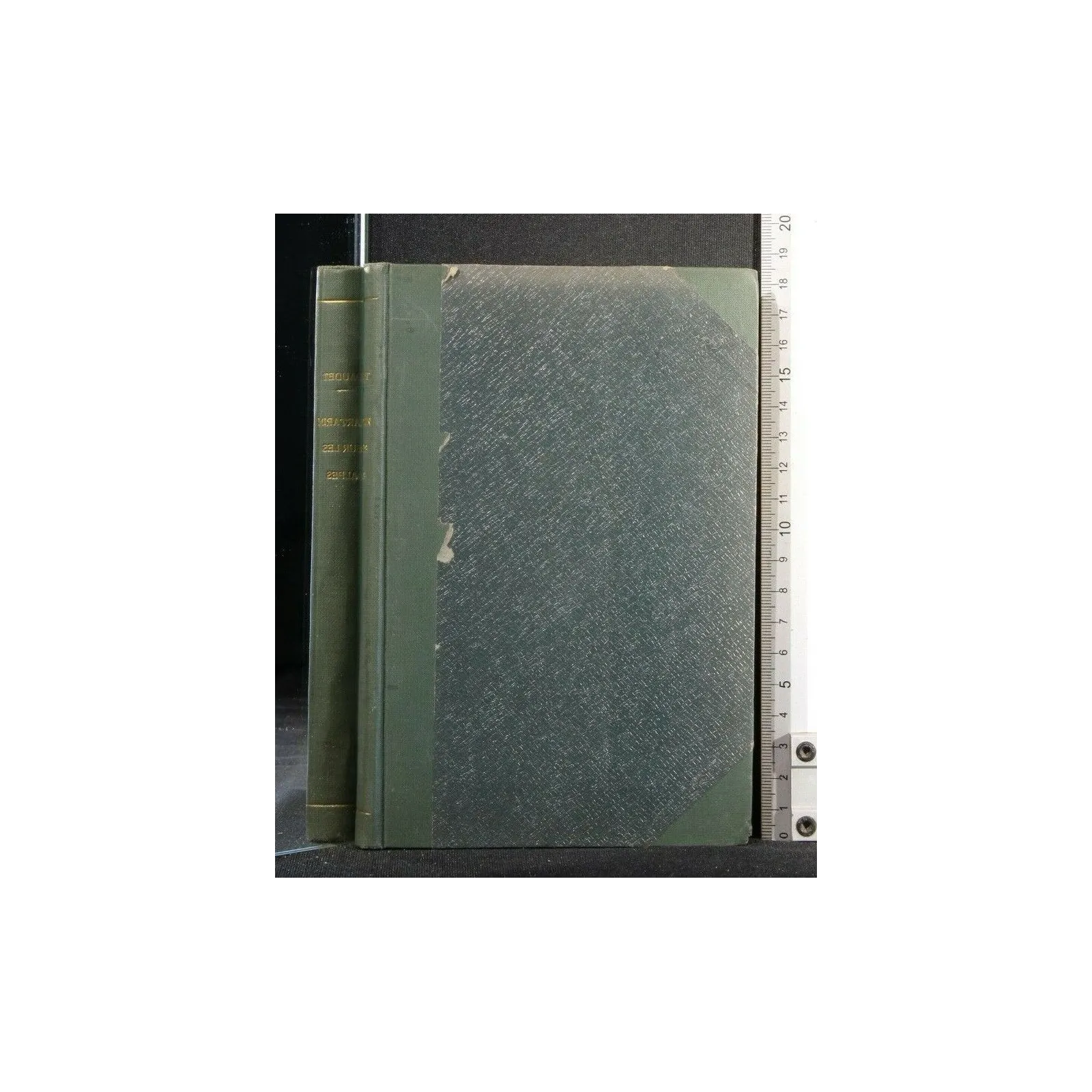 TARTARIN SUR LES ALPES