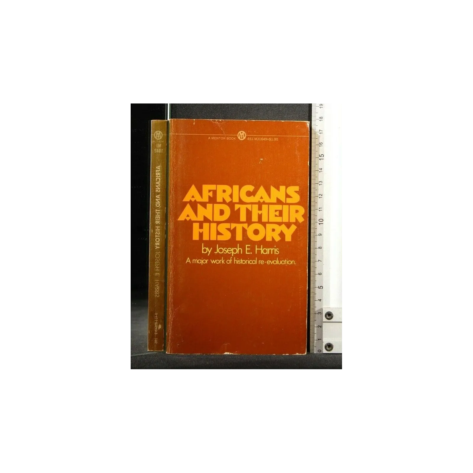 AFRICANS AND THEIR HISTORY