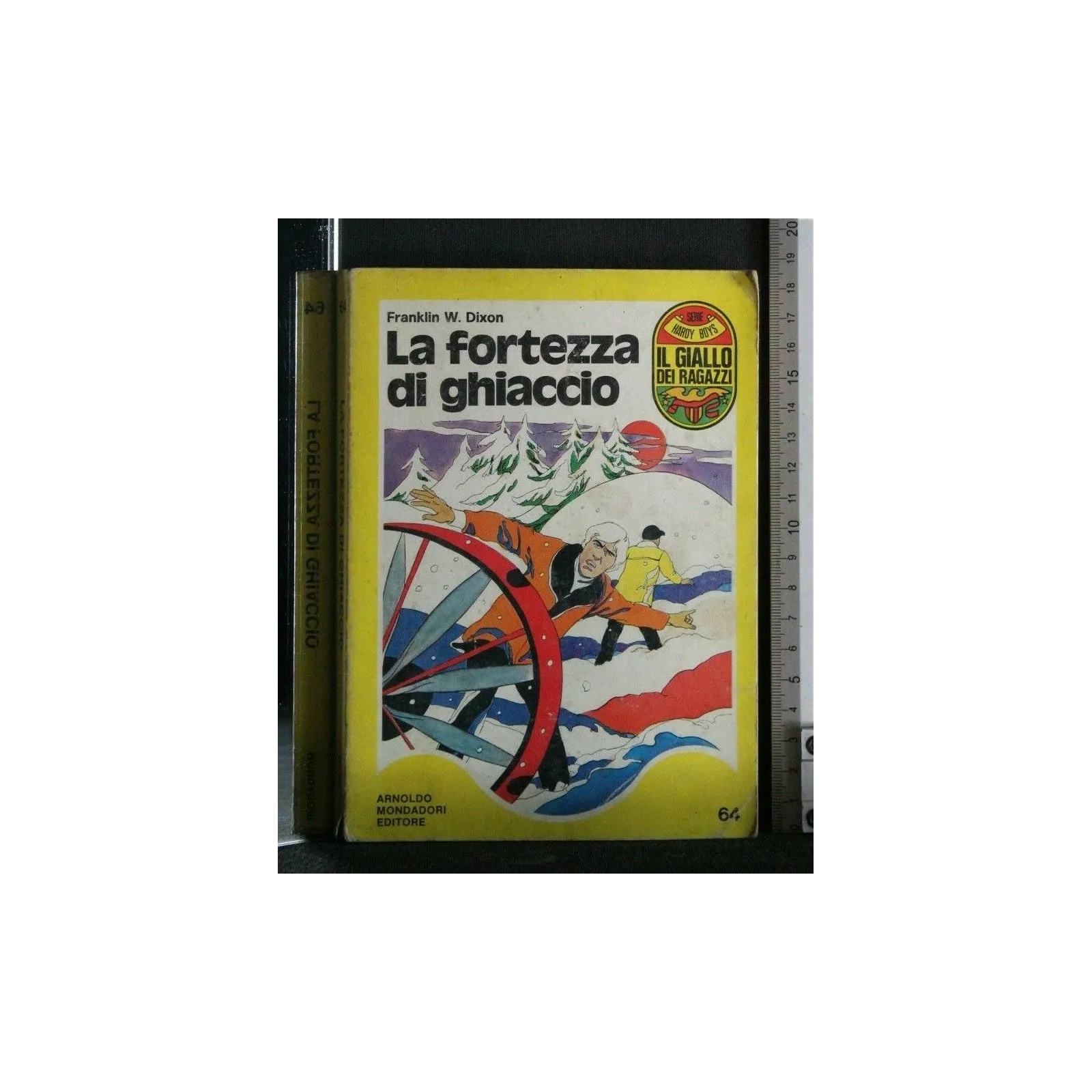 LA FORTEZZA DI GHIACCIO