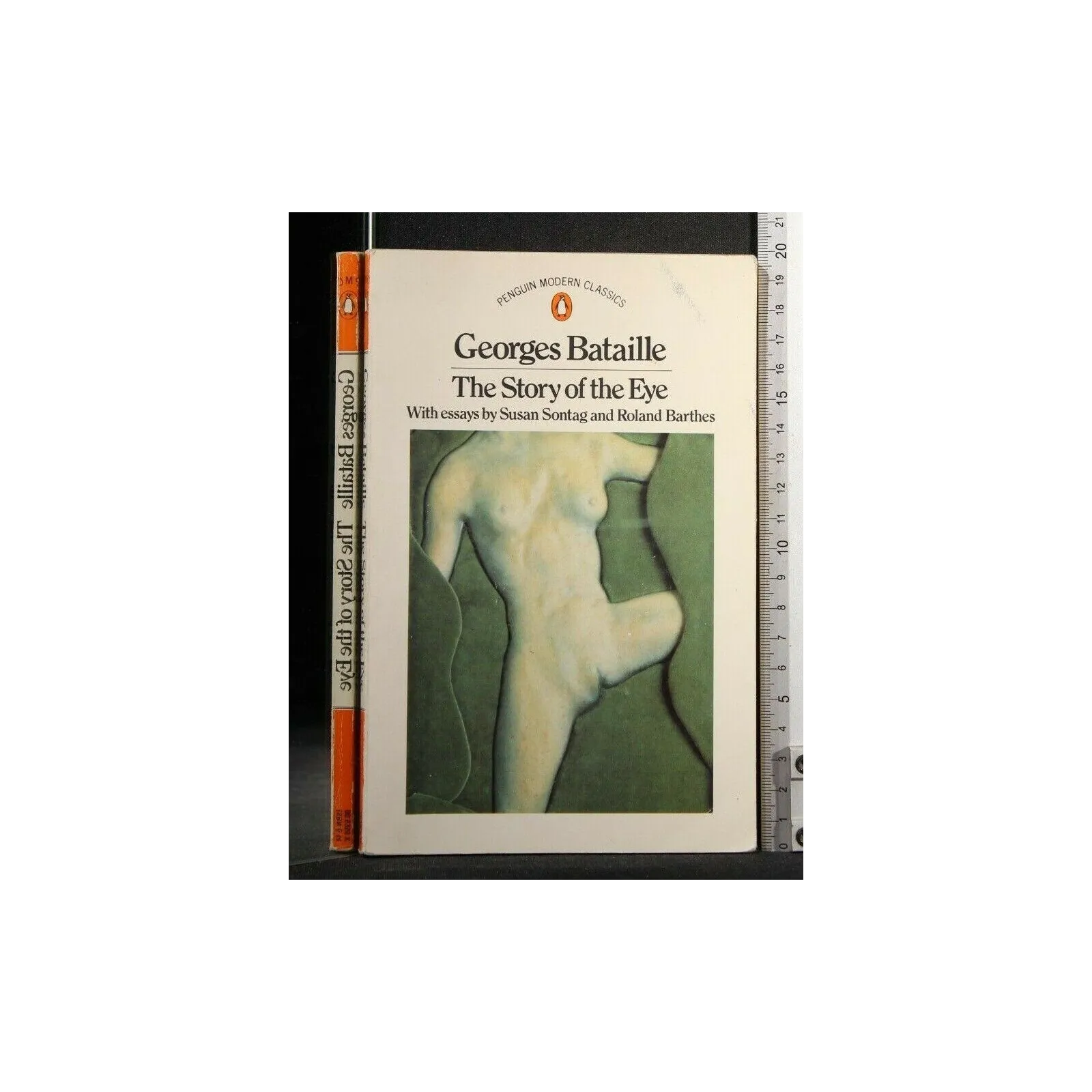 THE STORY OF THE EYE