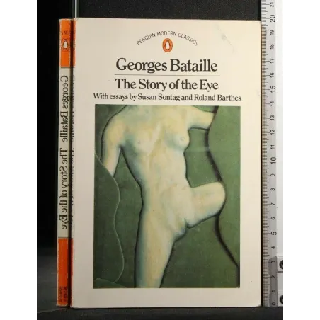 THE STORY OF THE EYE