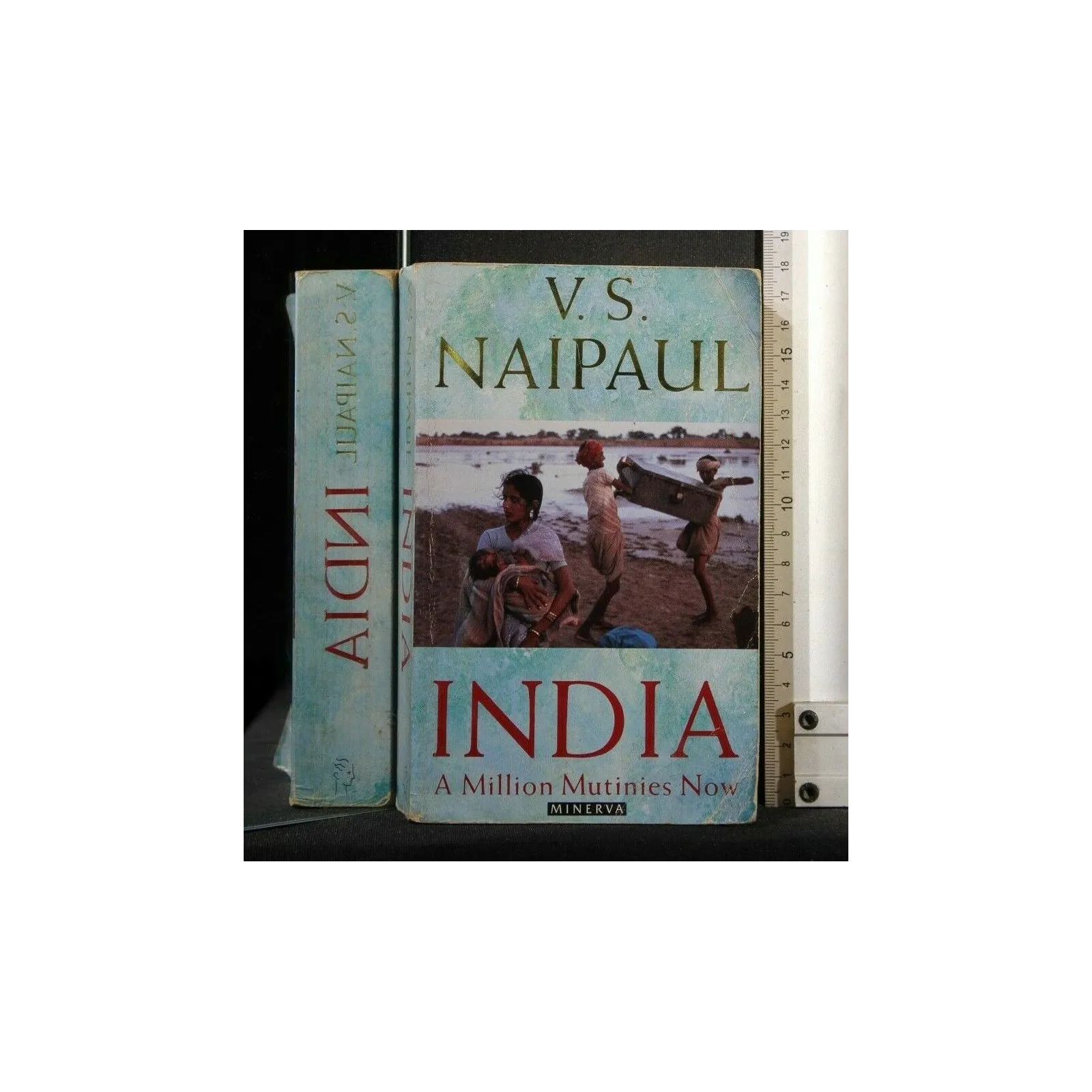 INDIA A MILLION MUTINIES NOW