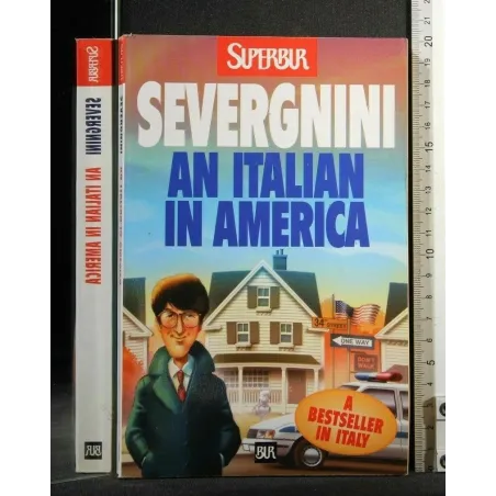 AN ITALIAN IN AMERICA