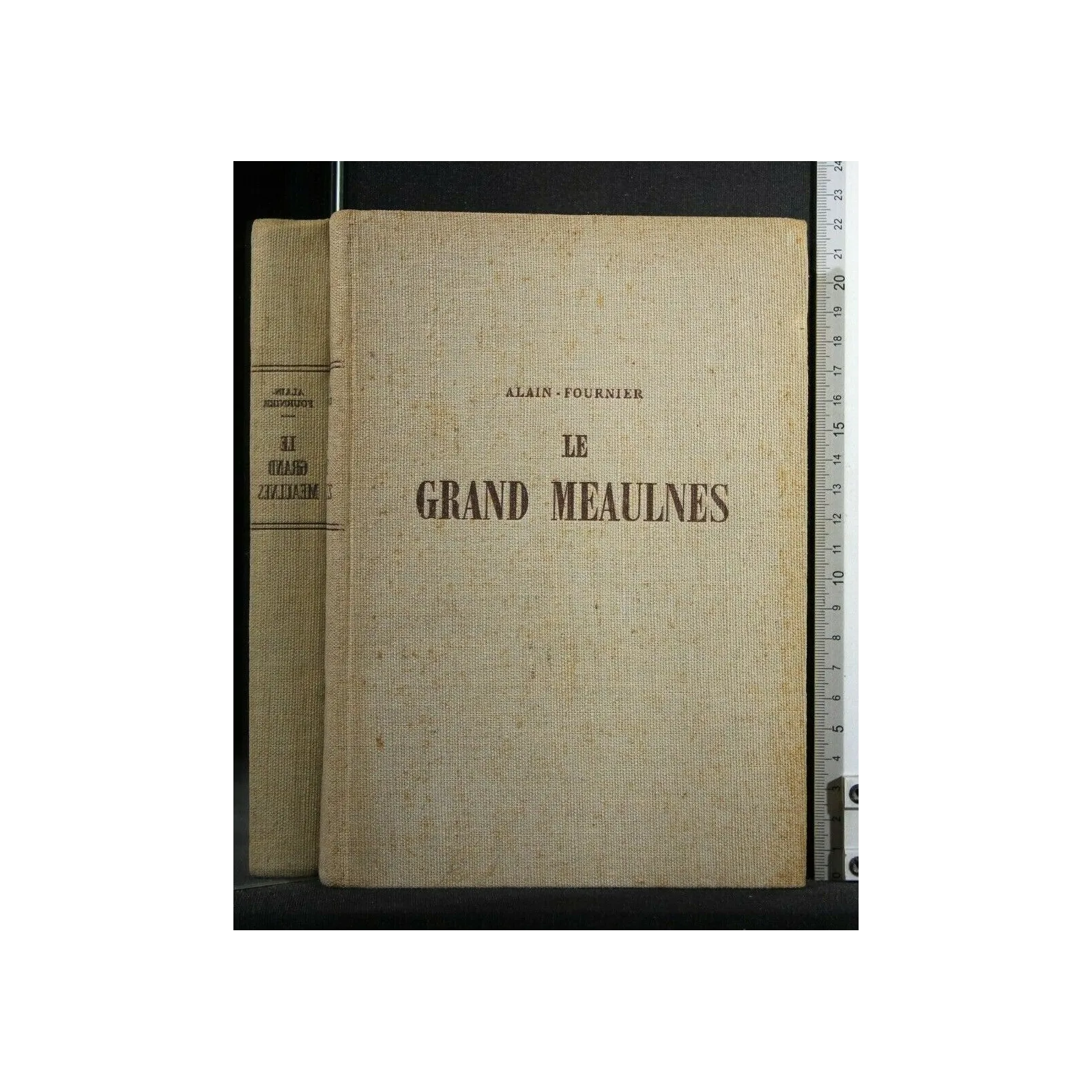 LE GRAND MEAULNES