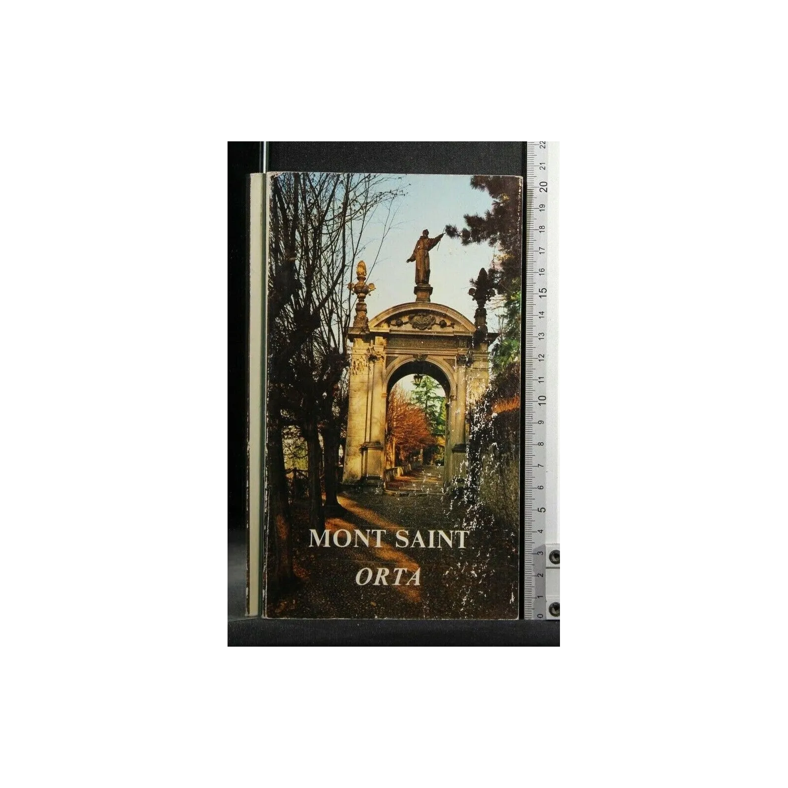 MONT SAINT ORTA