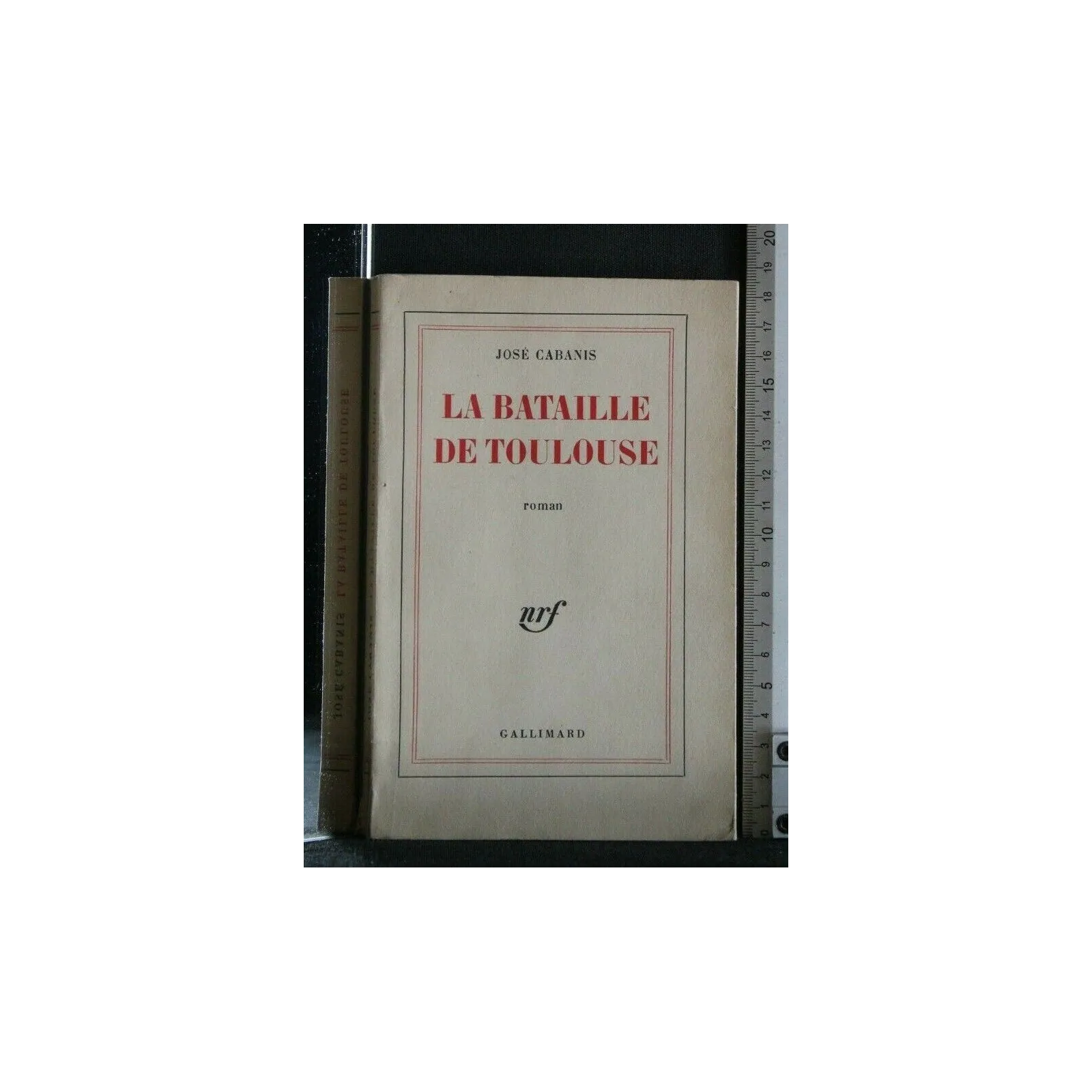 LA BATAILLE DE TOULOUSE