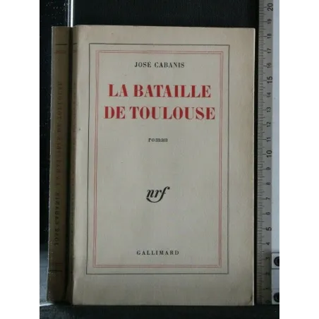 LA BATAILLE DE TOULOUSE