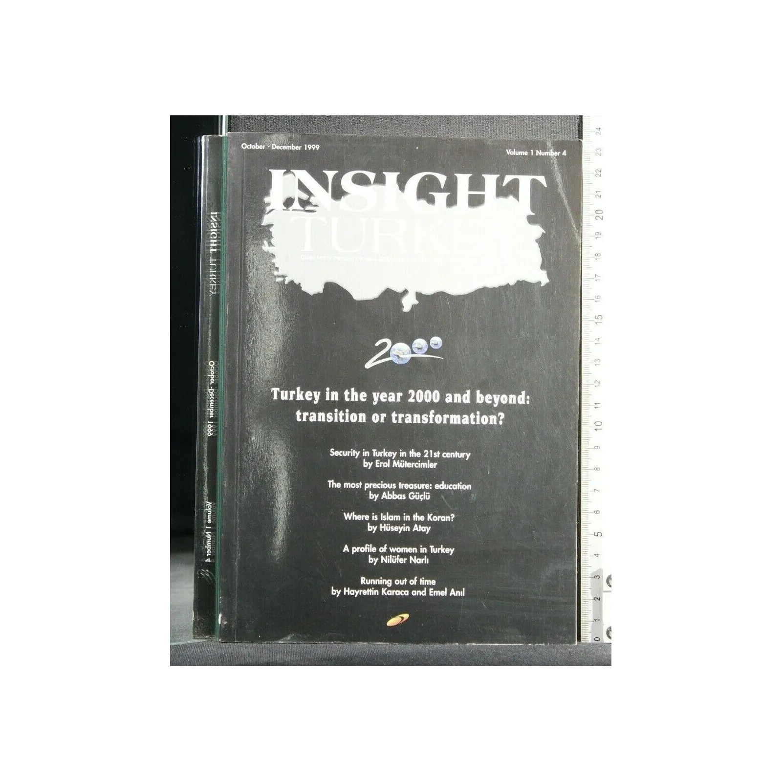 INSIGHT TURKEY TURKEY IN THE YEAR 2000 AND BEYOND: TRANSITION OR