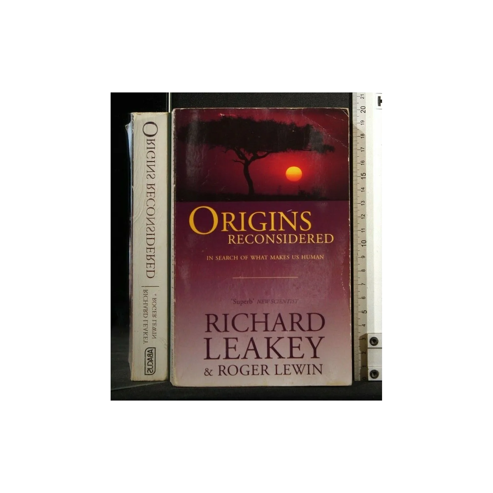 ORIGINS RECONSIDERED