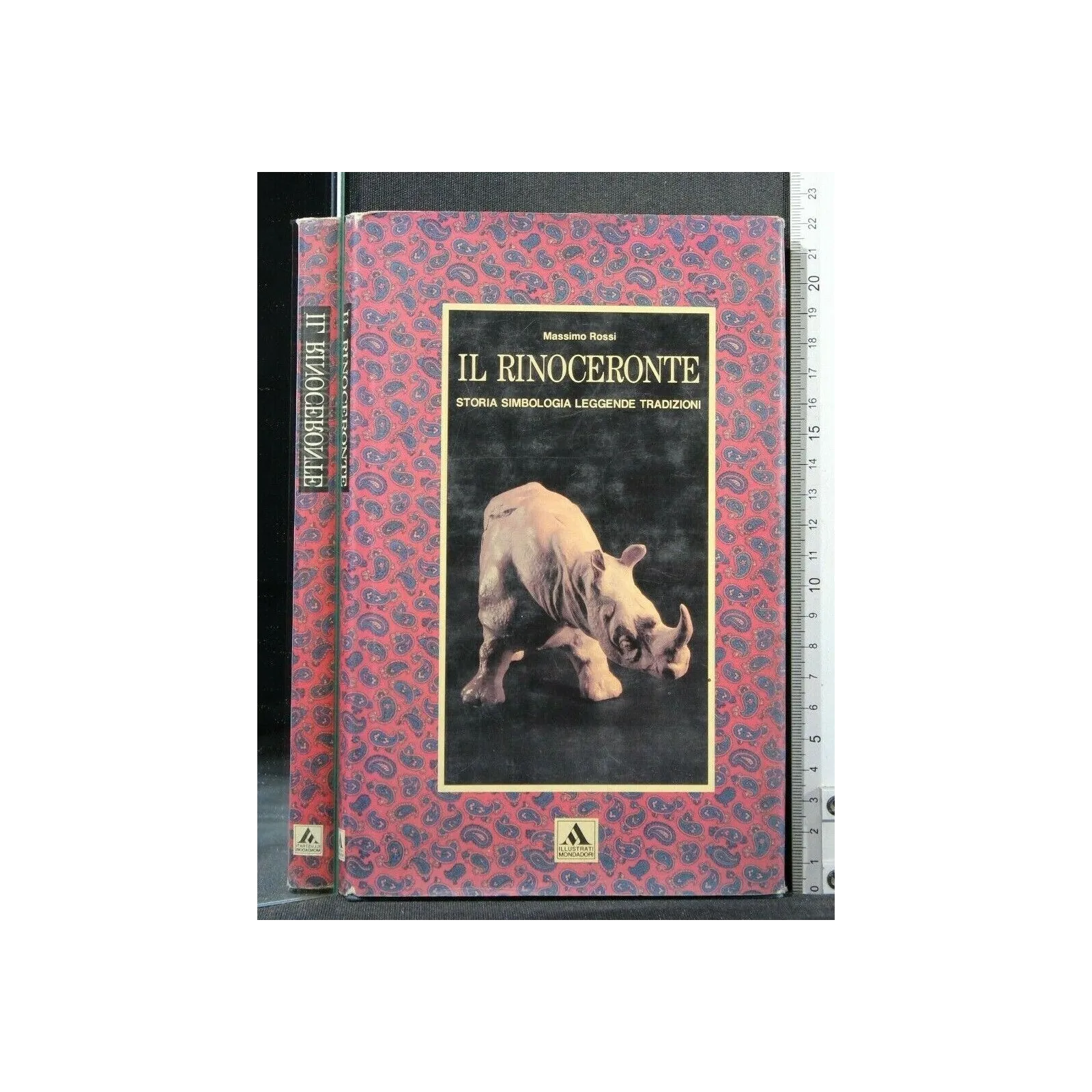 IL RINOCERONTE STORIA SIMBOLOGIA LEGGENDE TRADIZIONI