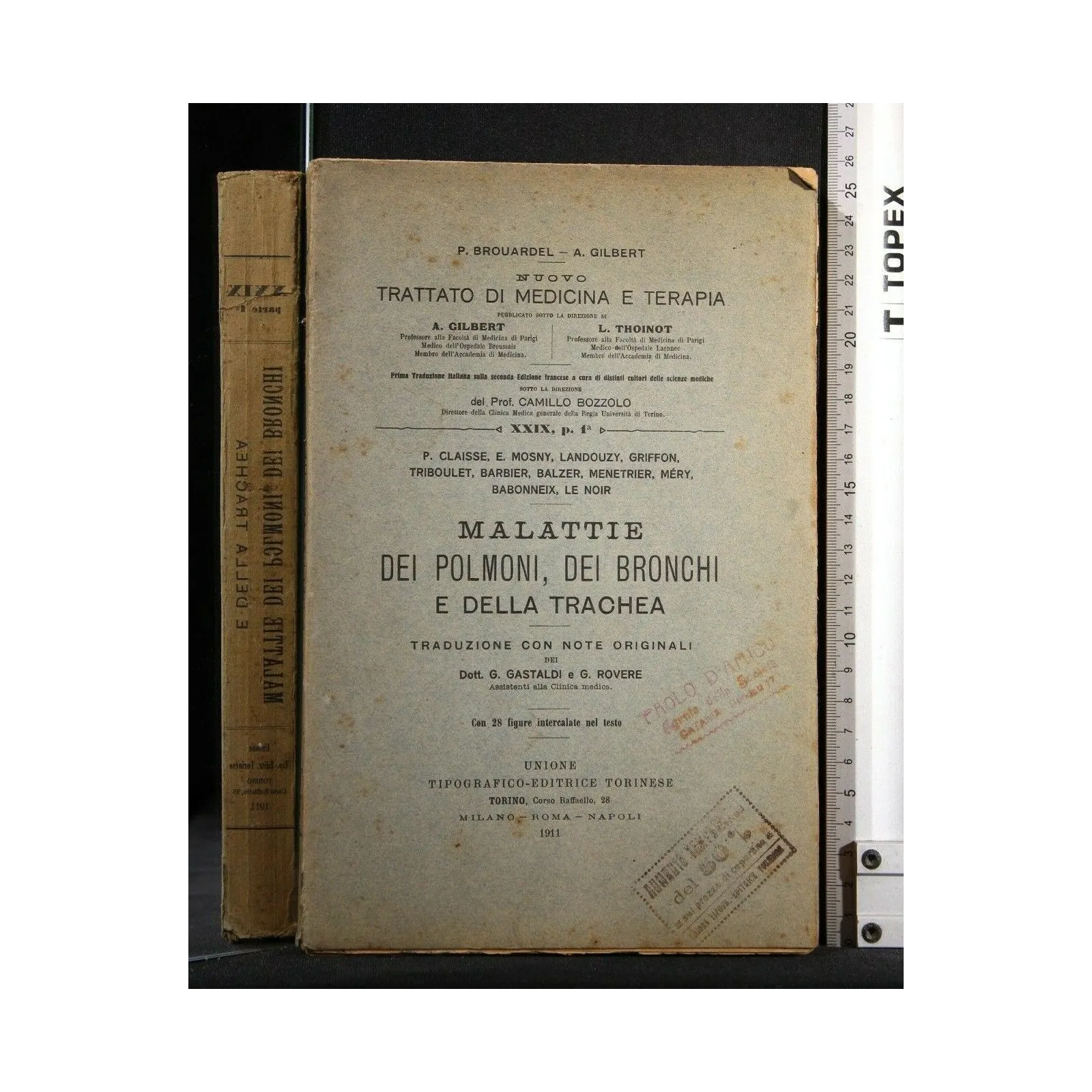 MALATTIE DEI POLMONI, DEI BRONCHI E DELLA TRACHEA NUOVO TRATTATO