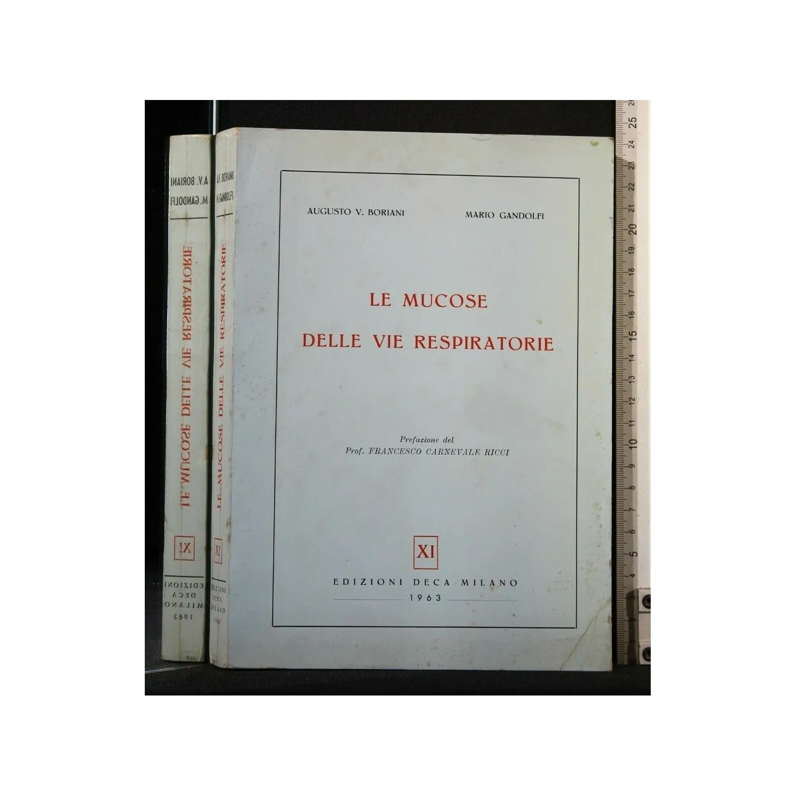LE MUCOSE DELLE VIE RESPIRATORIE