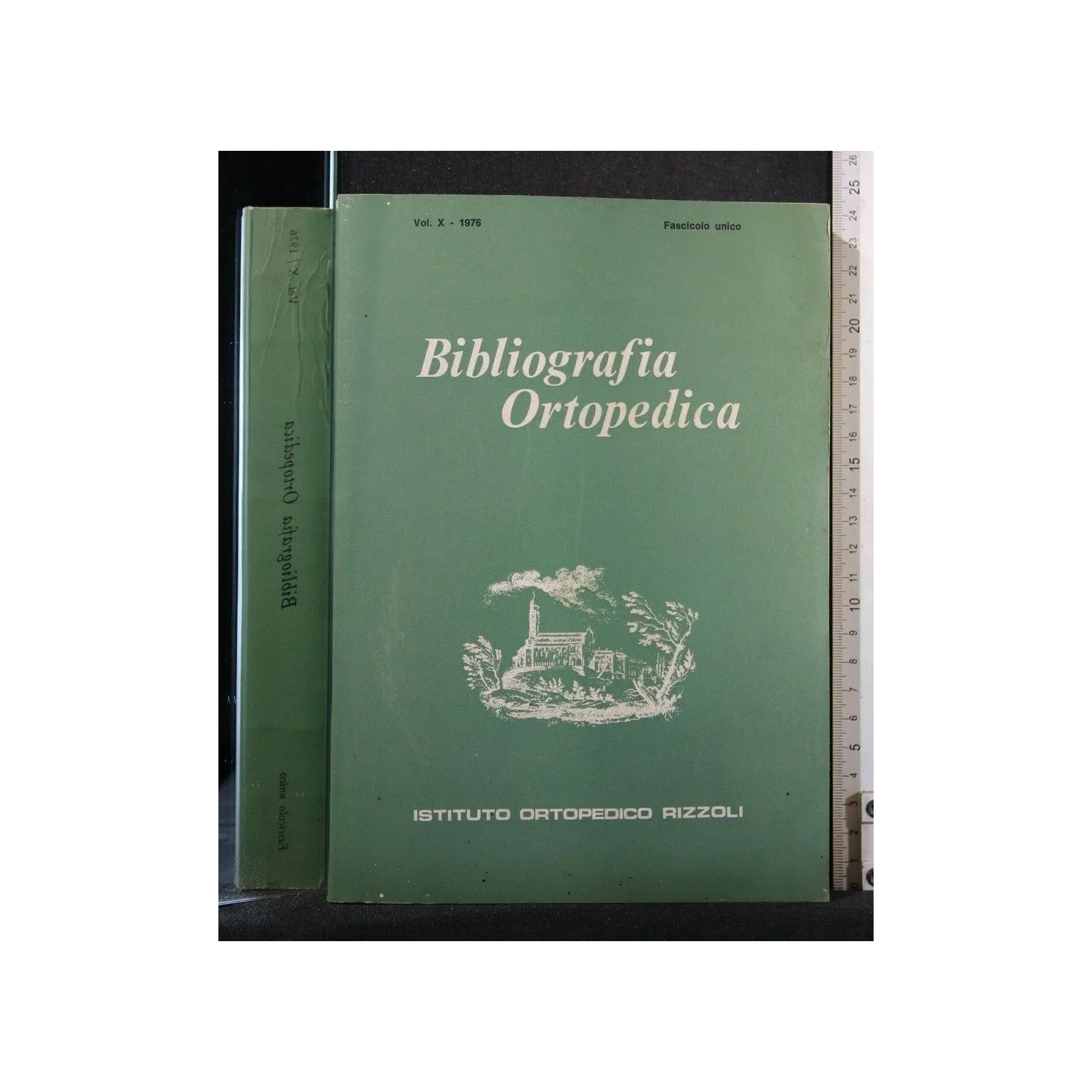 BIBLIOGRAFIA ORTOPEDICA VOL X 1976