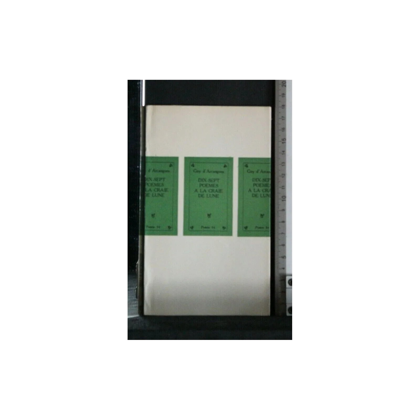 DIX-SEPT POEMES A LA CRAIE DE LUNE