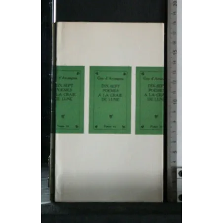DIX-SEPT POEMES A LA CRAIE DE LUNE