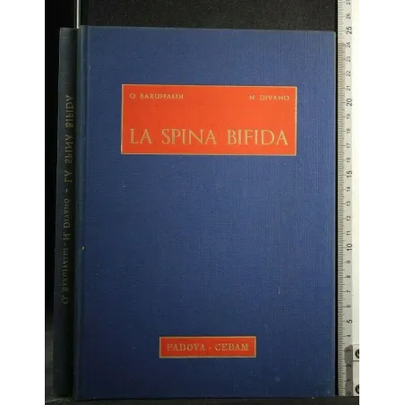 LA SPINA BIFIDA