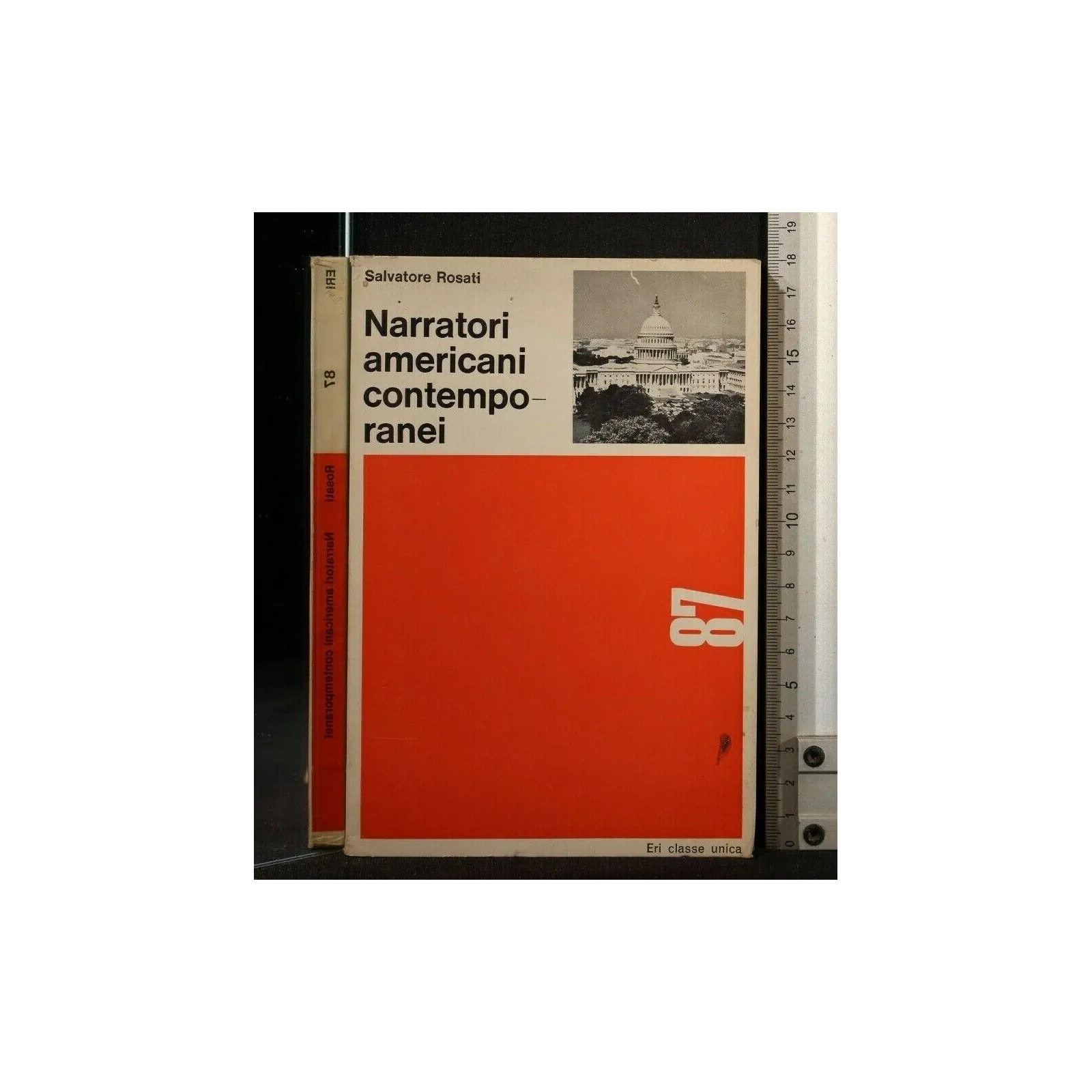 NARRATORI AMERICANI CONTEMPORANEI