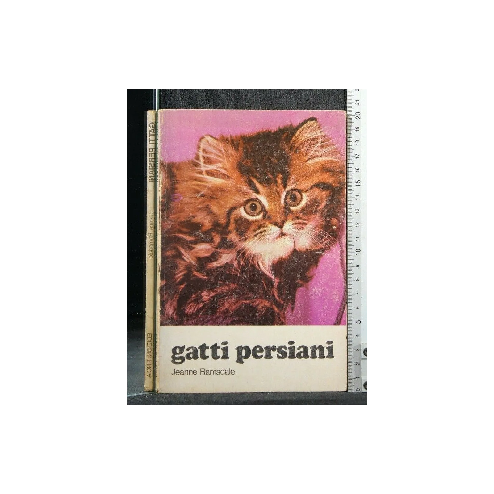 GATTI PERSIANI. JEANNE RAMSDALE. ENCIA.