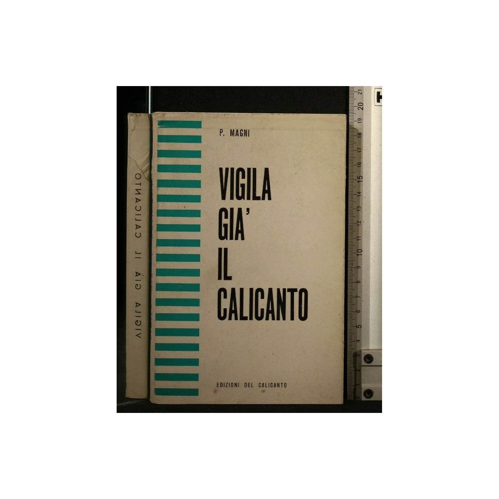 VIGILA GIA' IL CALICANTO