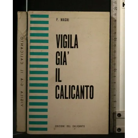VIGILA GIA' IL CALICANTO
