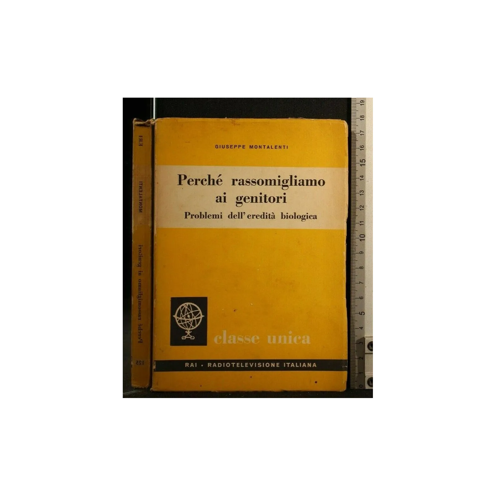 PERCHE' RASSOMIGLIAMO AI GENITORI