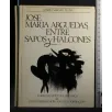 JOSE MARIA ARGUEDAS, ENTRE SAPOS Y HALCONES