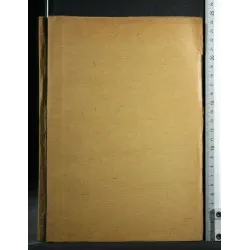 ARCHIVIO ED ATTI DELLA SOCIETA' ITALIANA DI CHIRURGIA 43°