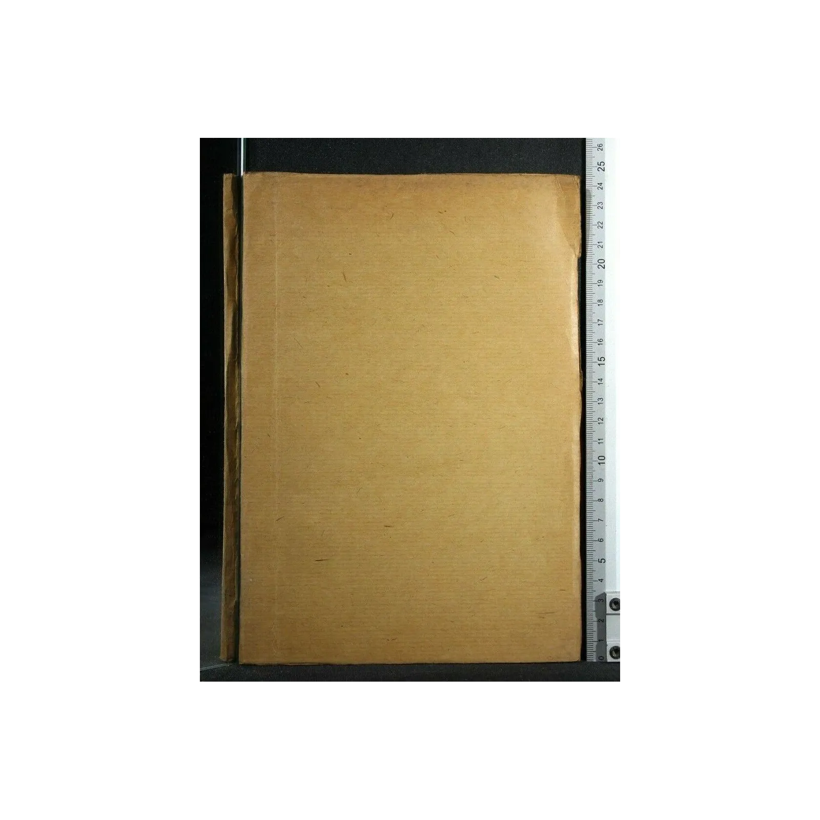 ARCHIVIO ED ATTI DELLA SOCIETA' ITALIANA DI CHIRURGIA 43°