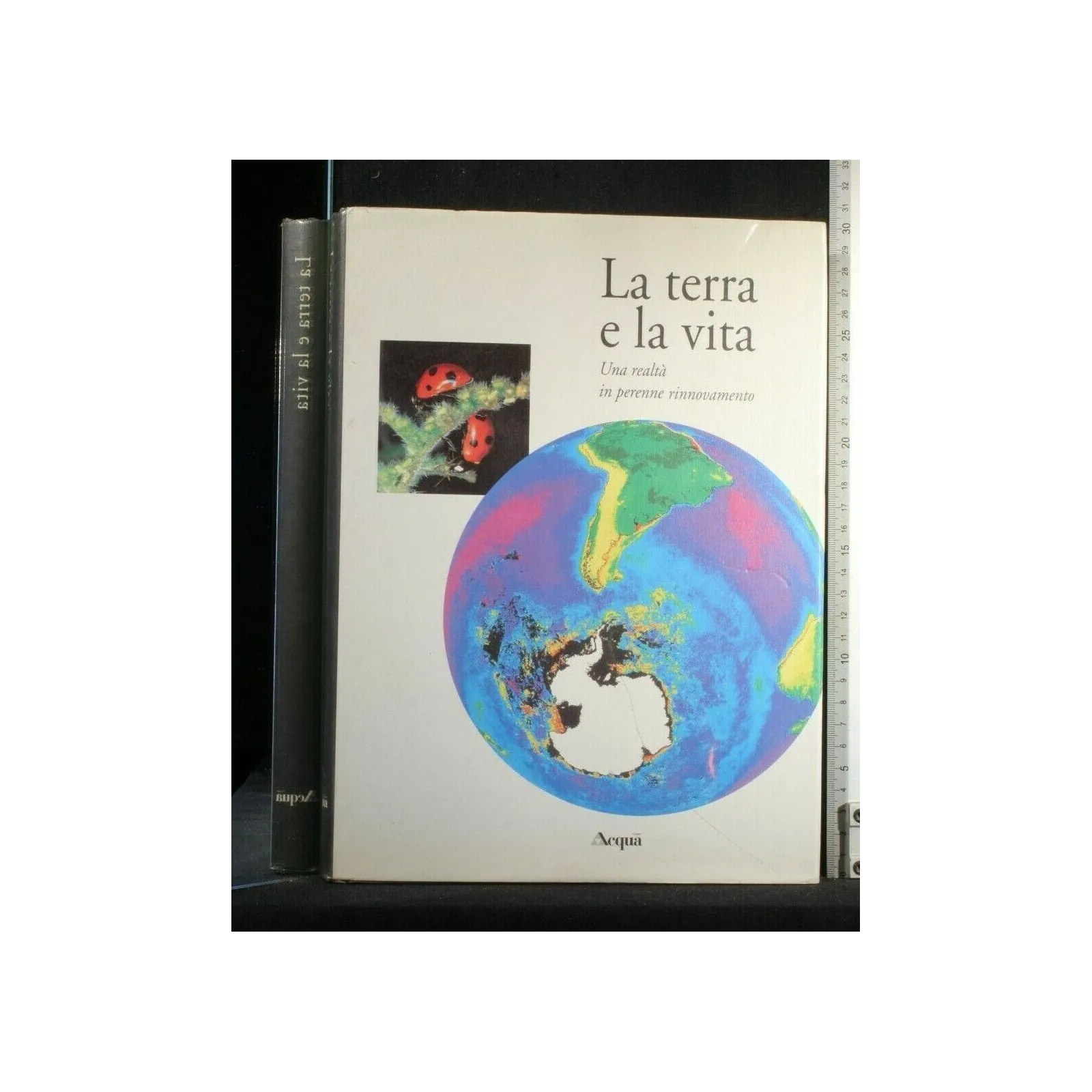 LA TERRA E LA VITA UNA REALTÀ IN PERENNE RINNOVAMENTO