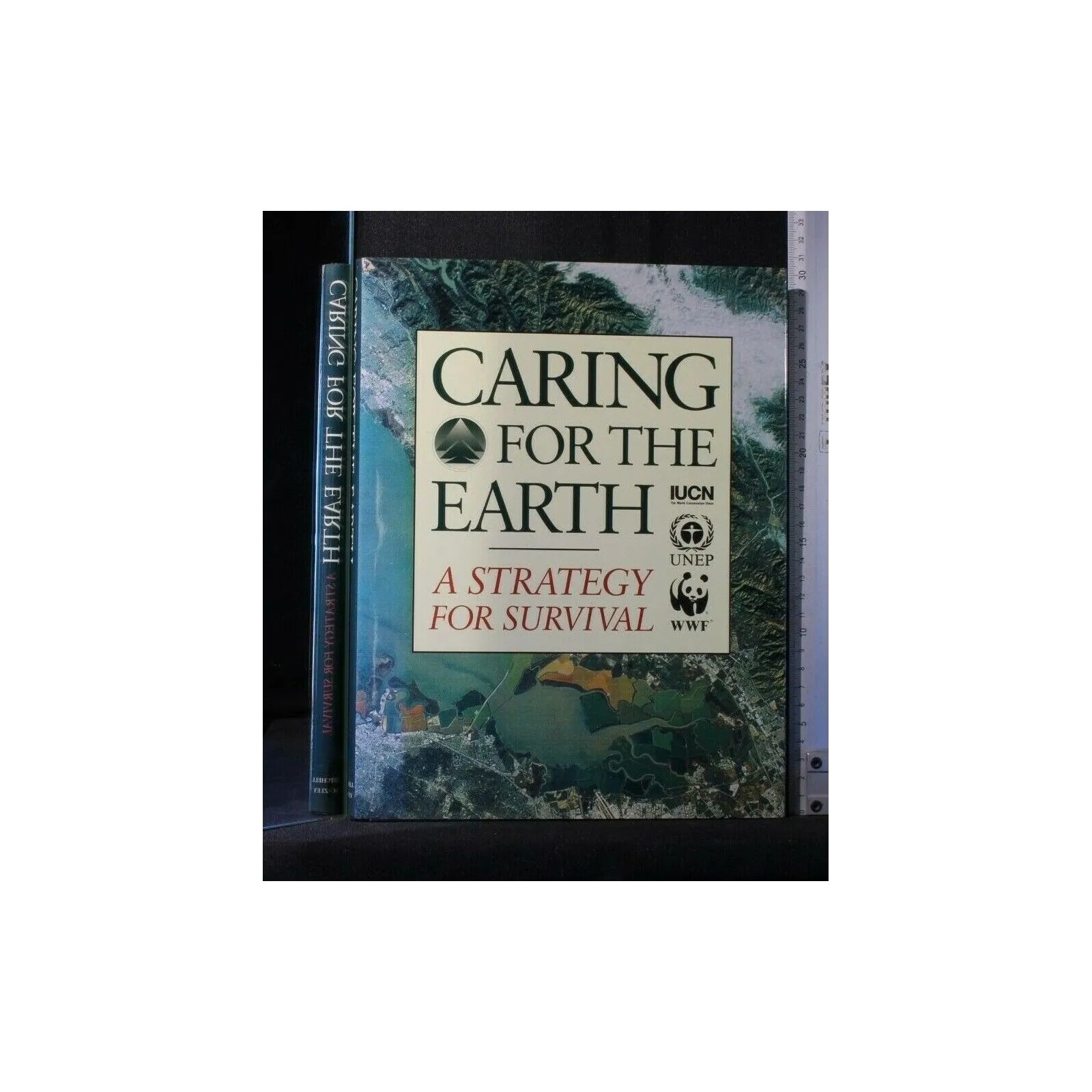CARING FOR THE EARTH