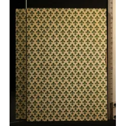 ENCICLOPEDIA INTERNAZIONALE DI CHIRURGIA