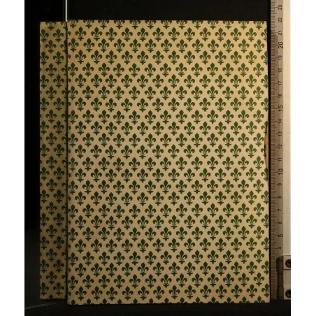 ENCICLOPEDIA INTERNAZIONALE DI CHIRURGIA