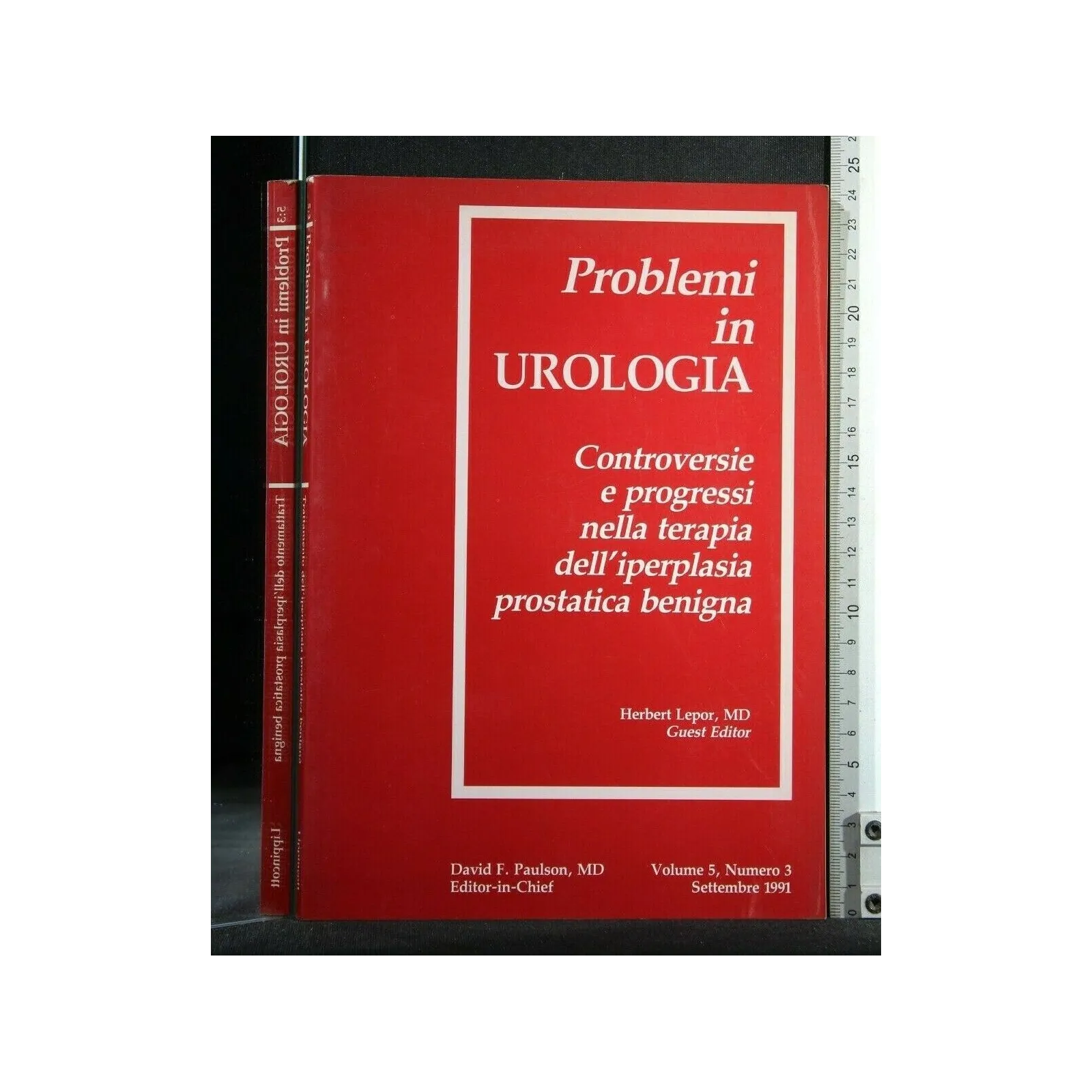 PROBLEMI DI UROLOGIA VOL. 5 N. 3 SETTEMBRE 1991