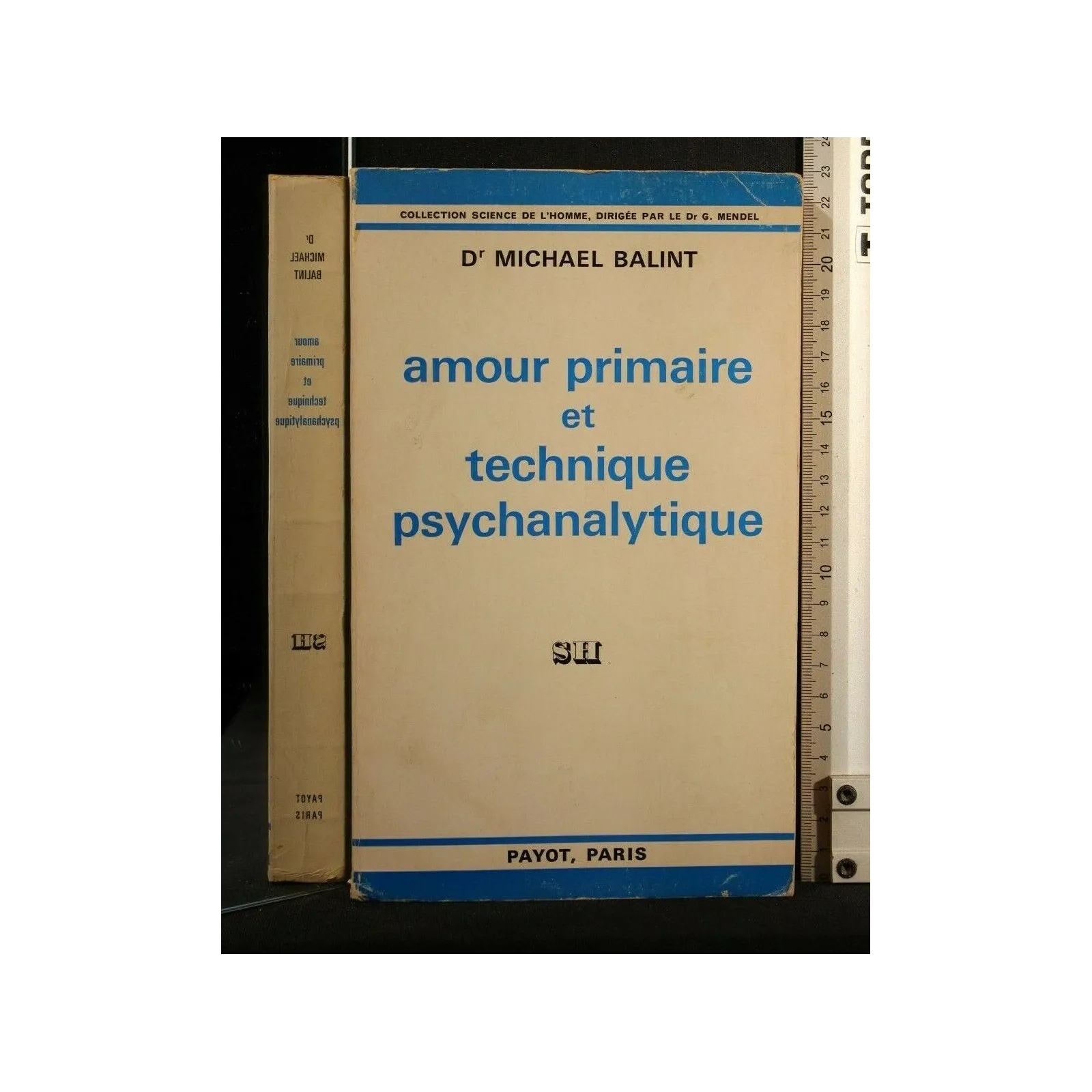 AMOUR PRIMAIRE ET TECHNIQUE PSYCHANALYTIQUE