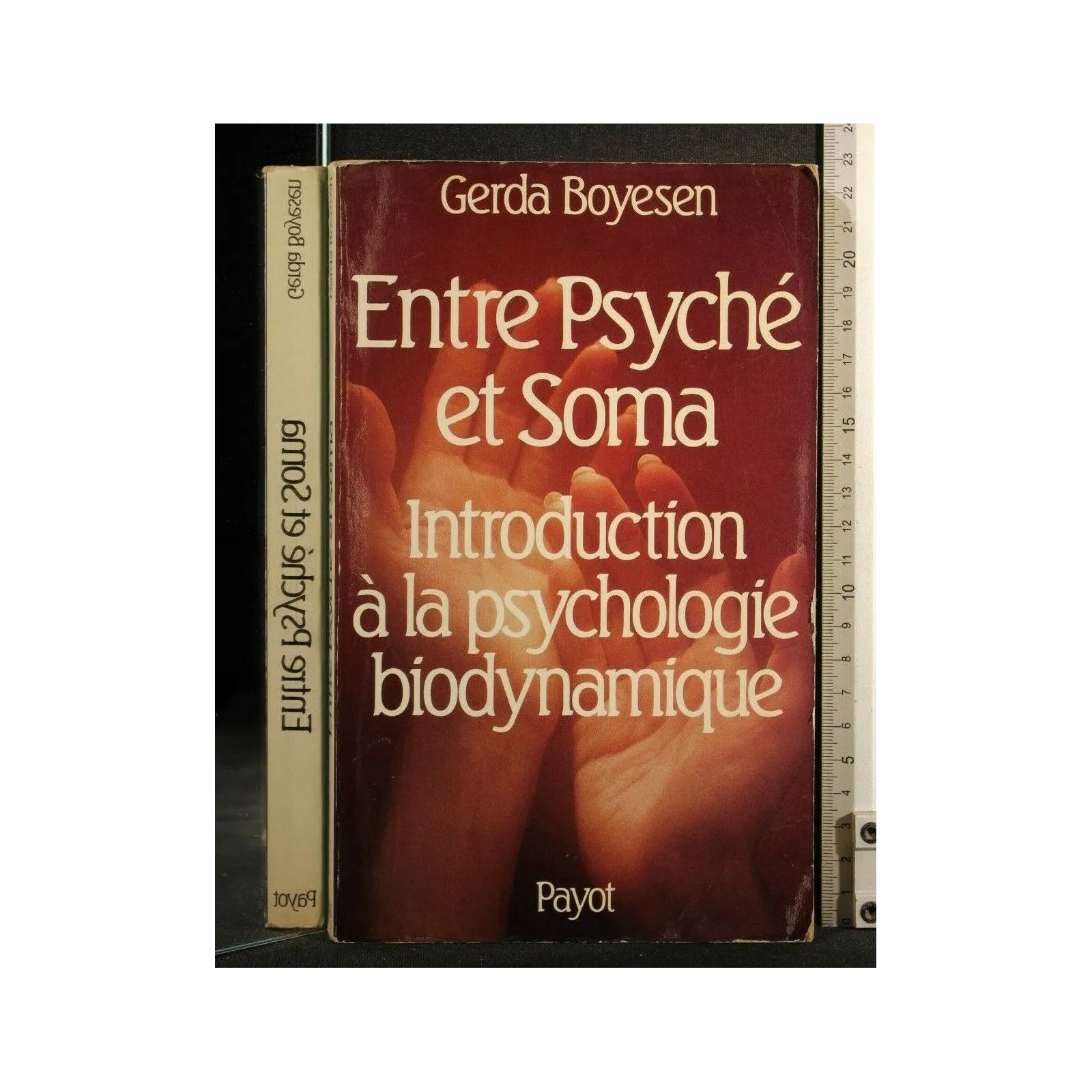 ENTRE PSYCHE' ET SOMA