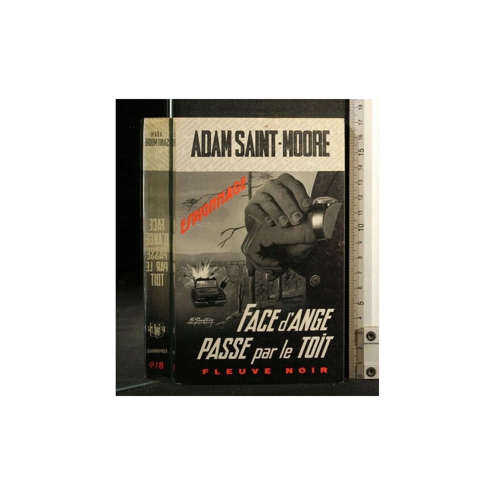 FACE D'ANGE PASSE PAR LE TOIT