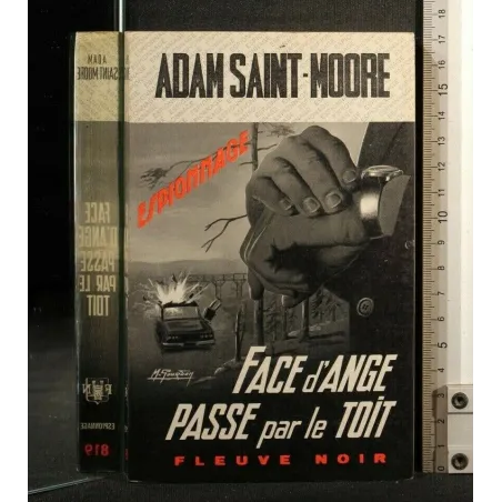 FACE D'ANGE PASSE PAR LE TOIT