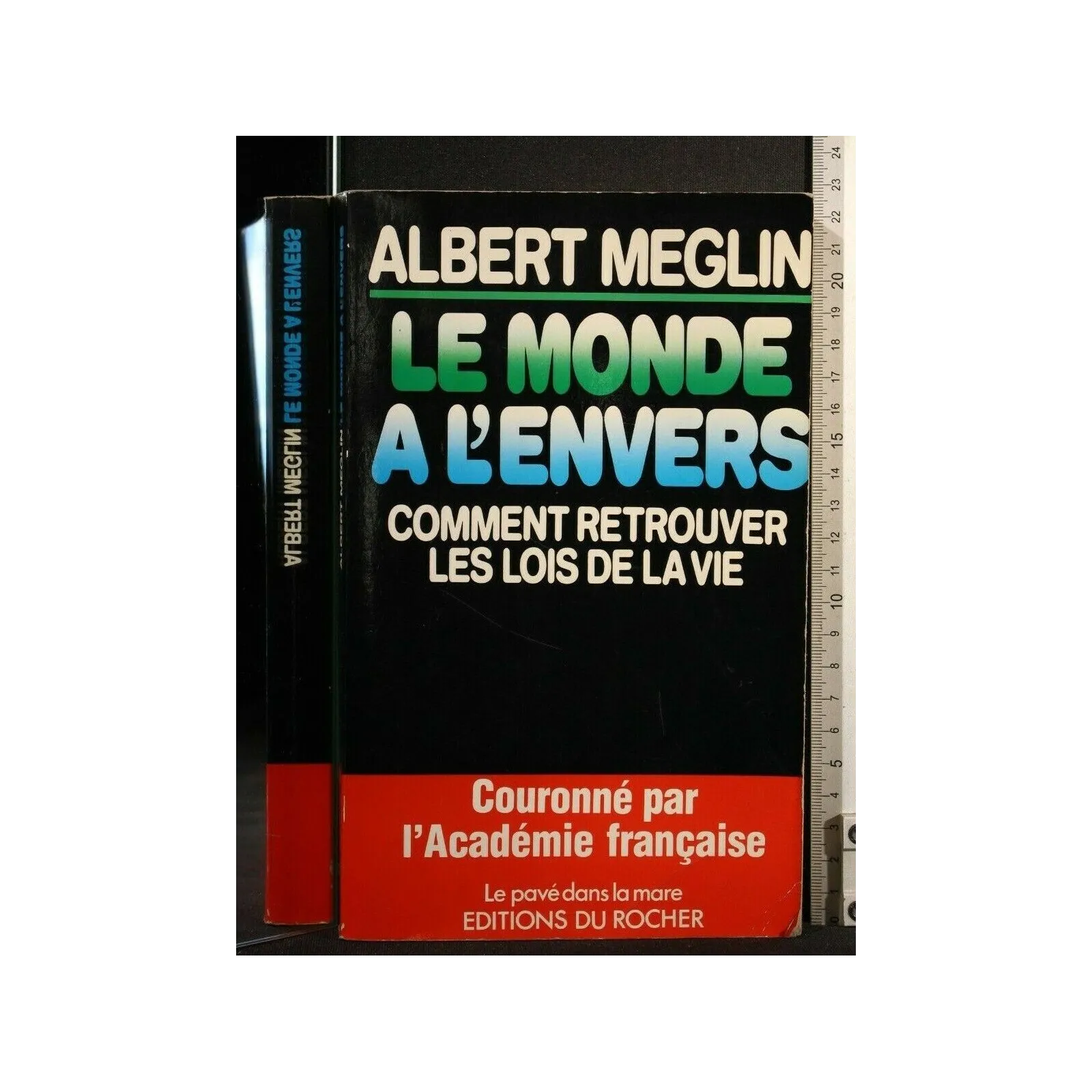 LE MONDE E L'ENVERS