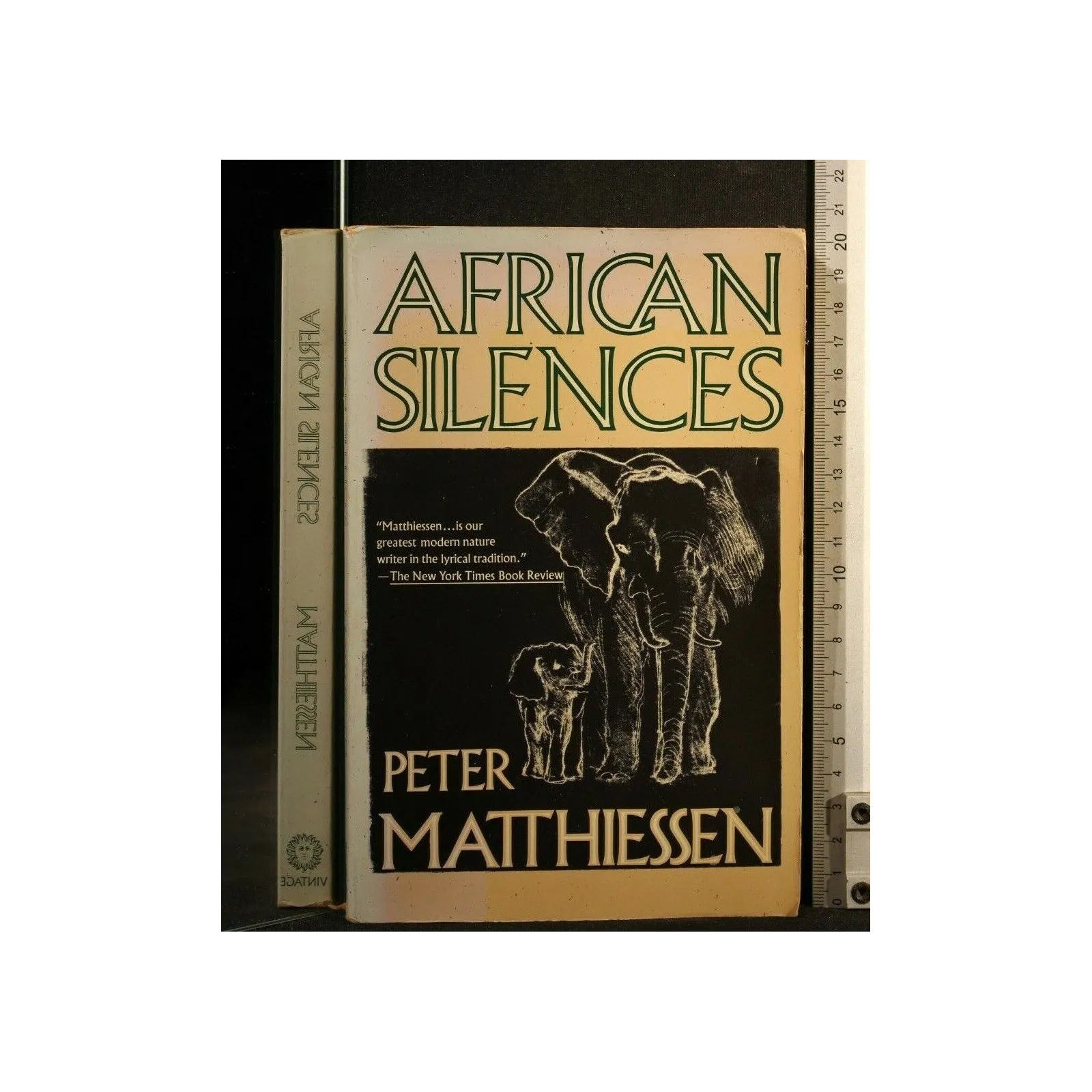 AFRICAN SILENCES