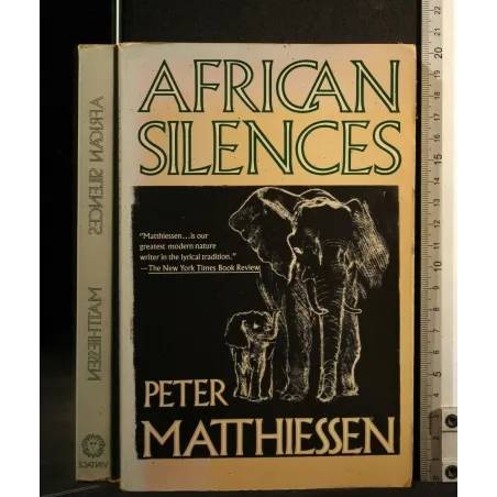 AFRICAN SILENCES