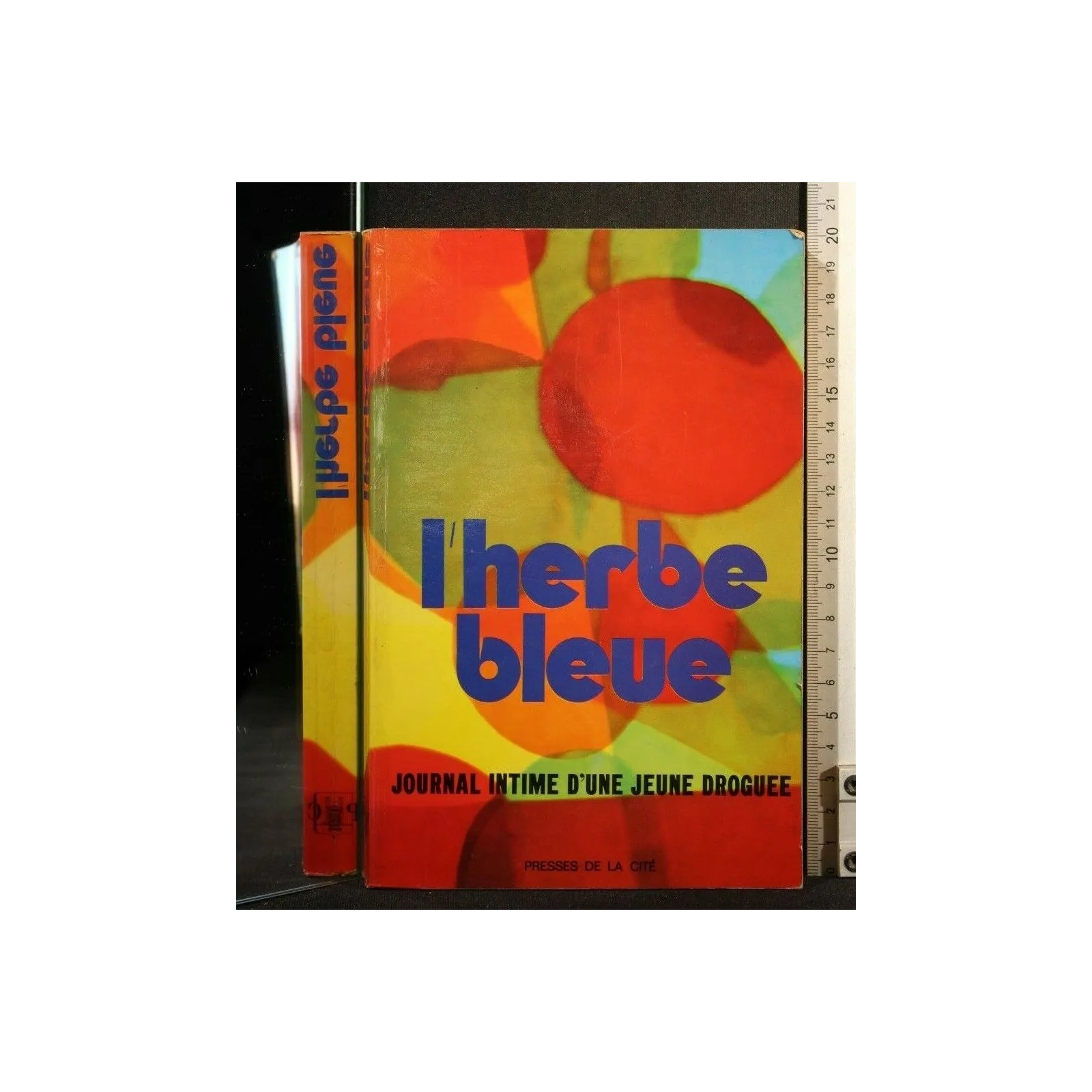 L'HERBE BLEUE JOURNAL INTIME D'UNE JEUNE DROGUEE
