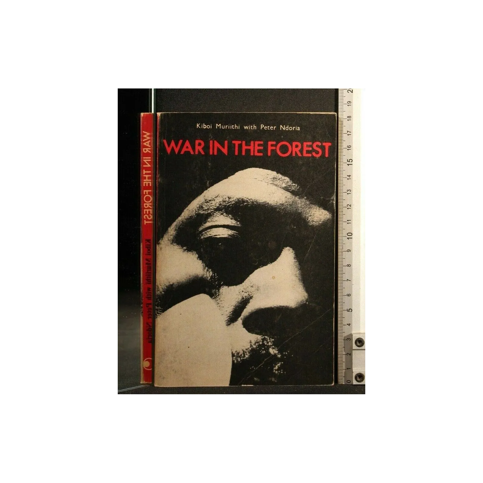 WAR IN THE FOREST