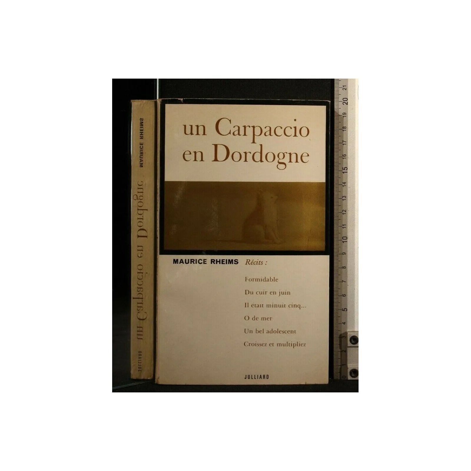 UN CARPACCIO EN DORDOGNE