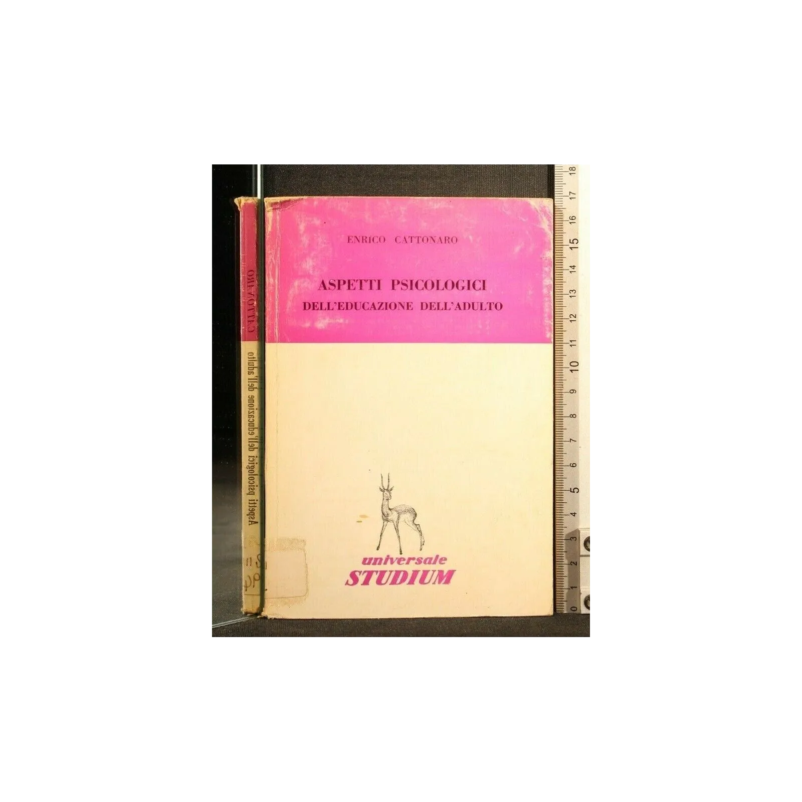 ASPETTI PSICOLOGICI DELL'EDUCAZIONE DELL'ADULTO