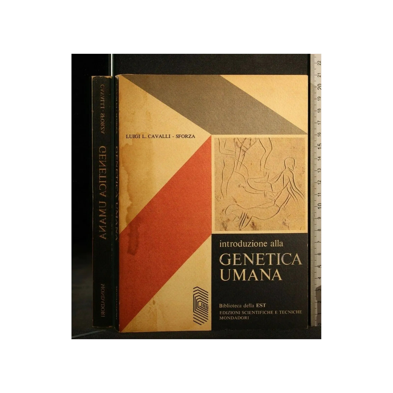 INTRODUZIONE ALLA GENETICA UMANA